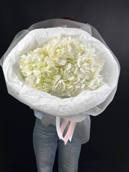 Гортензия белая моно букет 3 штуки