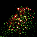 Фейерверк "Налог на роскошь!" (300 залпов).