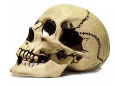 Грот для аквариума Череп большой