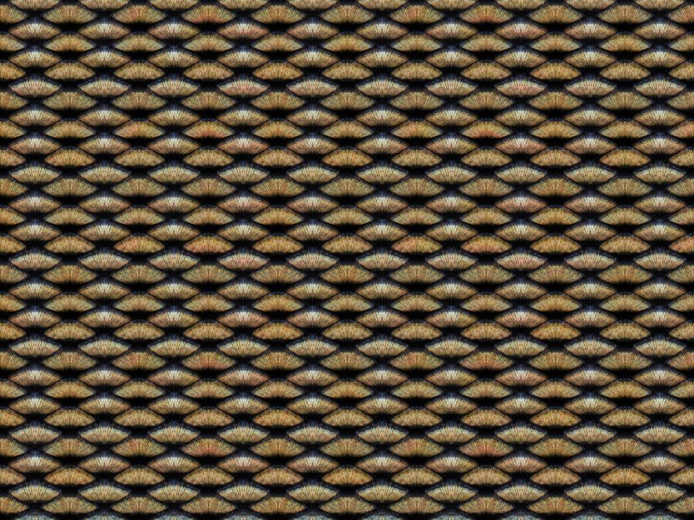 Фреска Applico, коллекция Textures