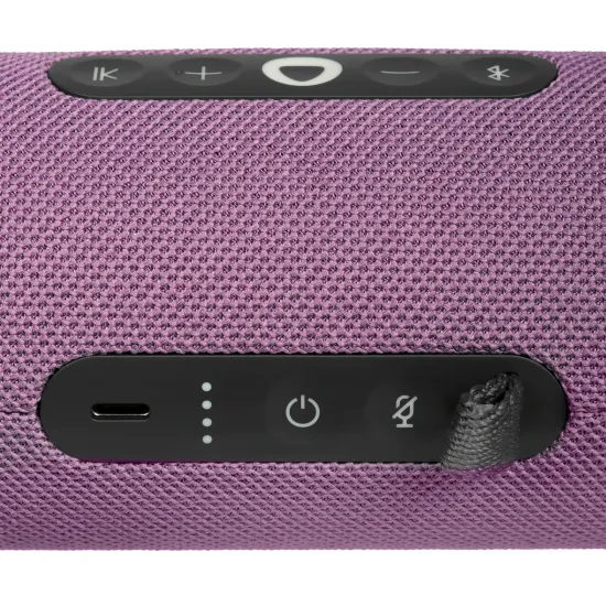 Умная портативная колонка Яндекс Станция Стрит с Алисой, фиолетовый