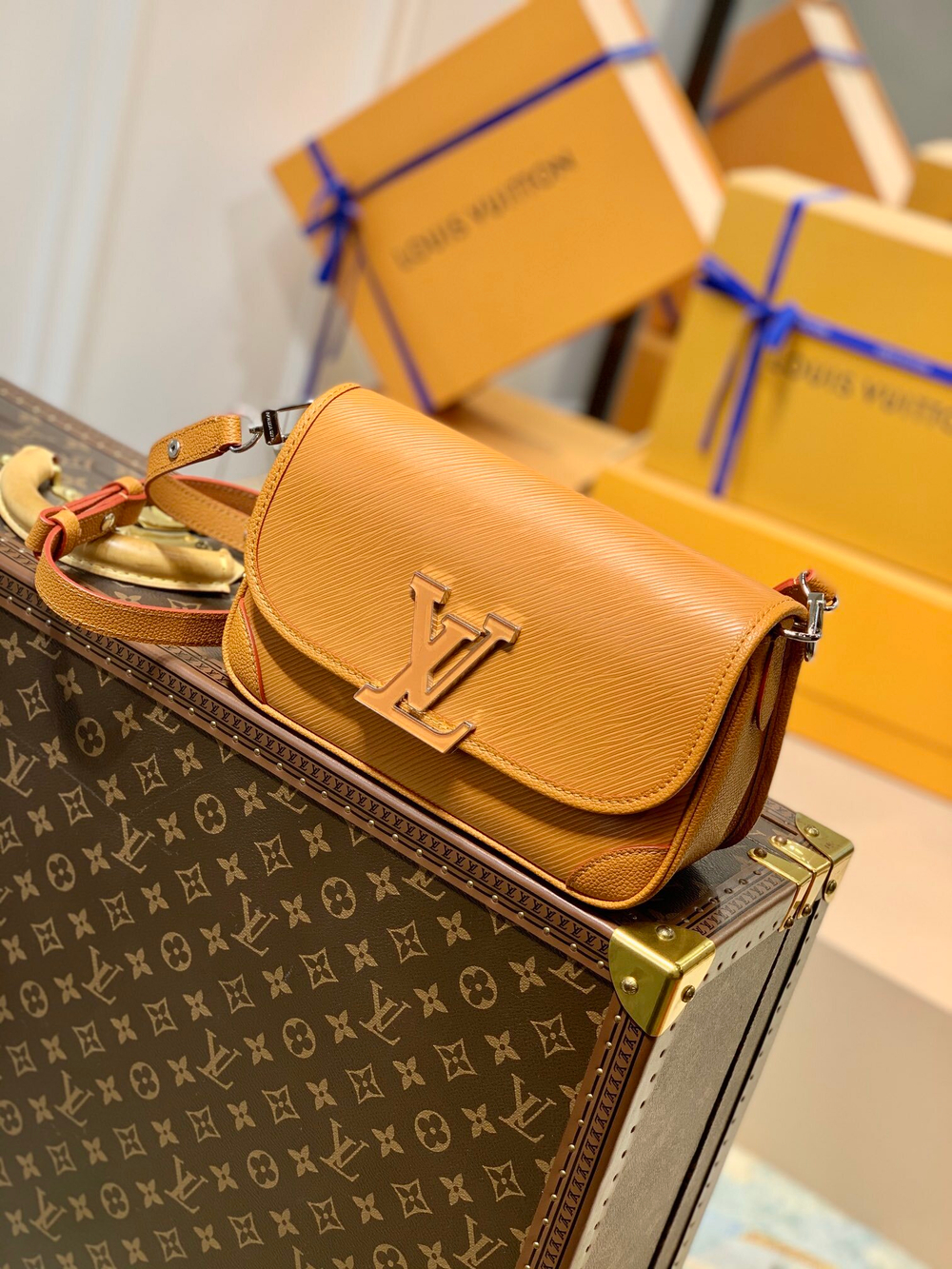 Louis Vuitton Buci Bag