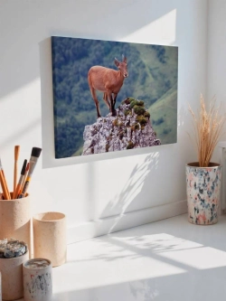 Картина на стену 40 X 50 Горный козел