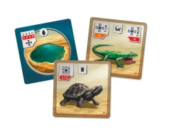 Reptile Tank