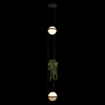 Подвесной светильник Loft It JARDIN 10121/2P Dark grey