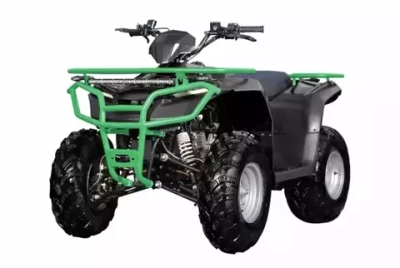 Квадроцикл взрослый Sharmax Luxe 250 (P)