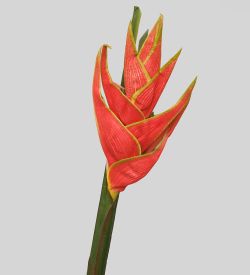 TR 631 Геликония