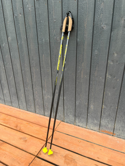 Палки Fischer Carbon Lite 120 см
