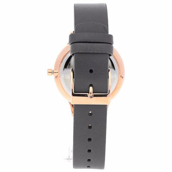 Женские часы Skagen SKW2672