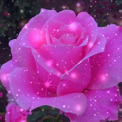 Прогноз личного года из пространства Единого