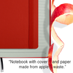 cover and inside of notebook_red_apple