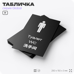 Табличка Туалет для инвалидов, на дверь и стену, информационная и мультиязычная (русский, английский, китайский), серия GLOBAL, 25х15 см, Айдентика Технолоджи