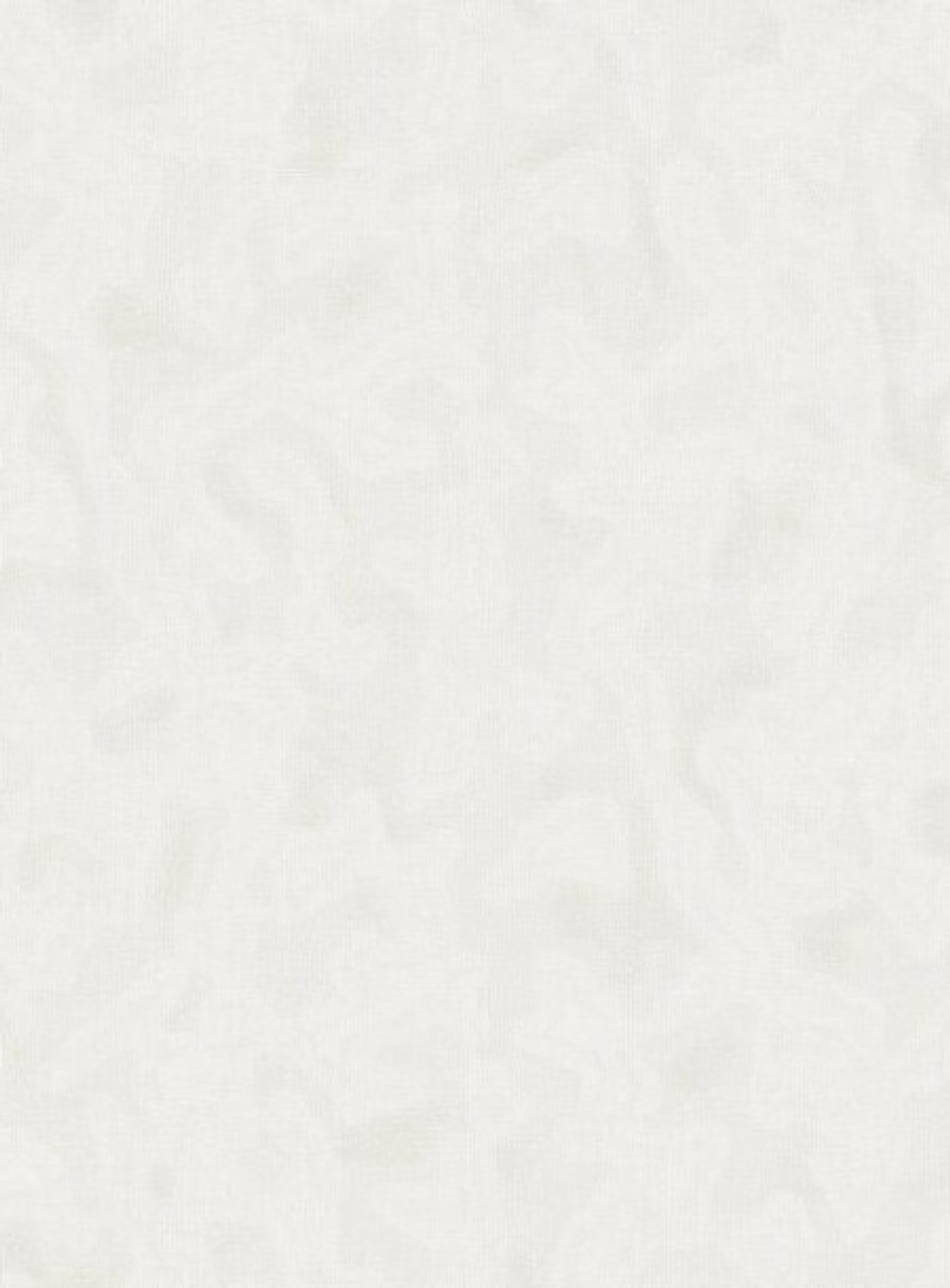 Венеция-фон - 21 светло-серая