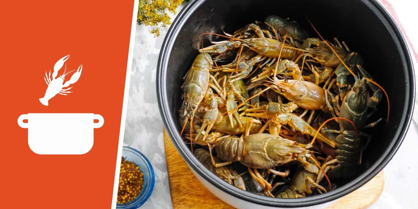 Живой рак в домашних условиях. Популярные ракообразные для готовки. Boiled Crayfish. Вареные раки: польза и приготовление.