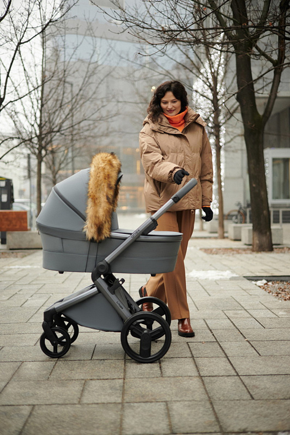 Детская коляска Anex l/type 3 в 1 Frost