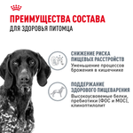 Royal Canin Maxi Digestive Care Макси Дайджестив кэа Корм сухой для взрослых собак больших размеров с чувствительным пищеварением 3кг