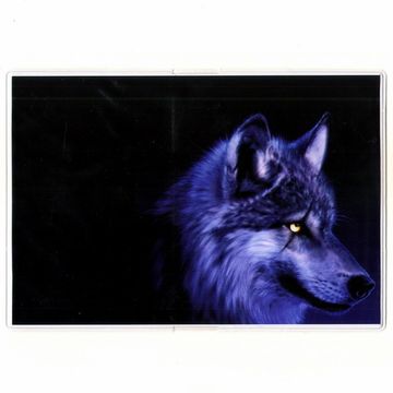 Обложка Волк со шрамом (330)