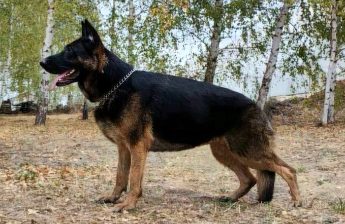 Туадаш АГАТА