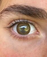 Шоколадные цветные линзы Marquise Latte / Шоколадные цветные линзы ( шоколадный ободок ) для темных и светлых глаз / 12 месяцев