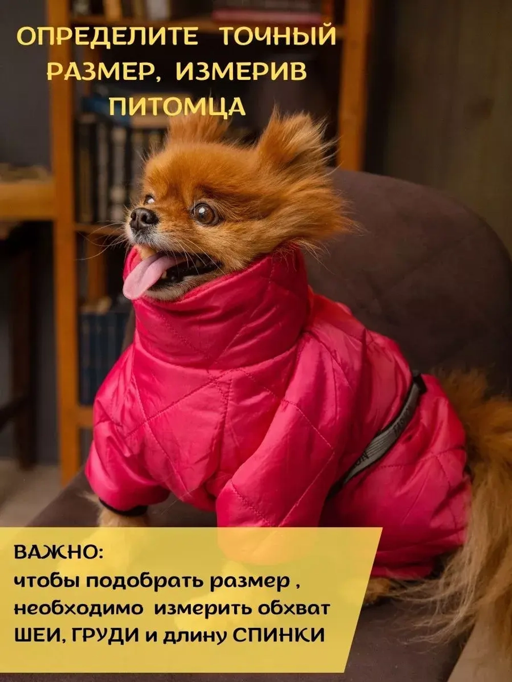 Зимний комбинезон для собак, одежда для животных