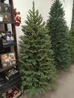 узкая елка "Графская стройная"