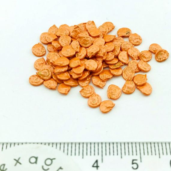 КЛАУДИО F1 семена перца сладкого Nunhems отзывы