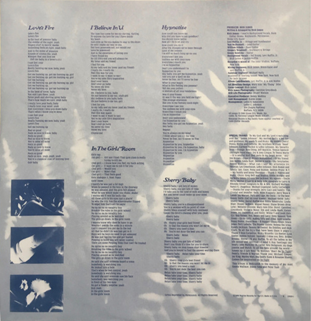 Rick James / Wonderful (LP)