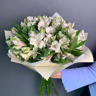 Букет 15 белых альстромерий