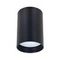 Потолочный светильник Arte Lamp Beid A1517PL-1BK