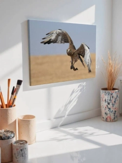 Картина на стену 40 X 50 Сокол
