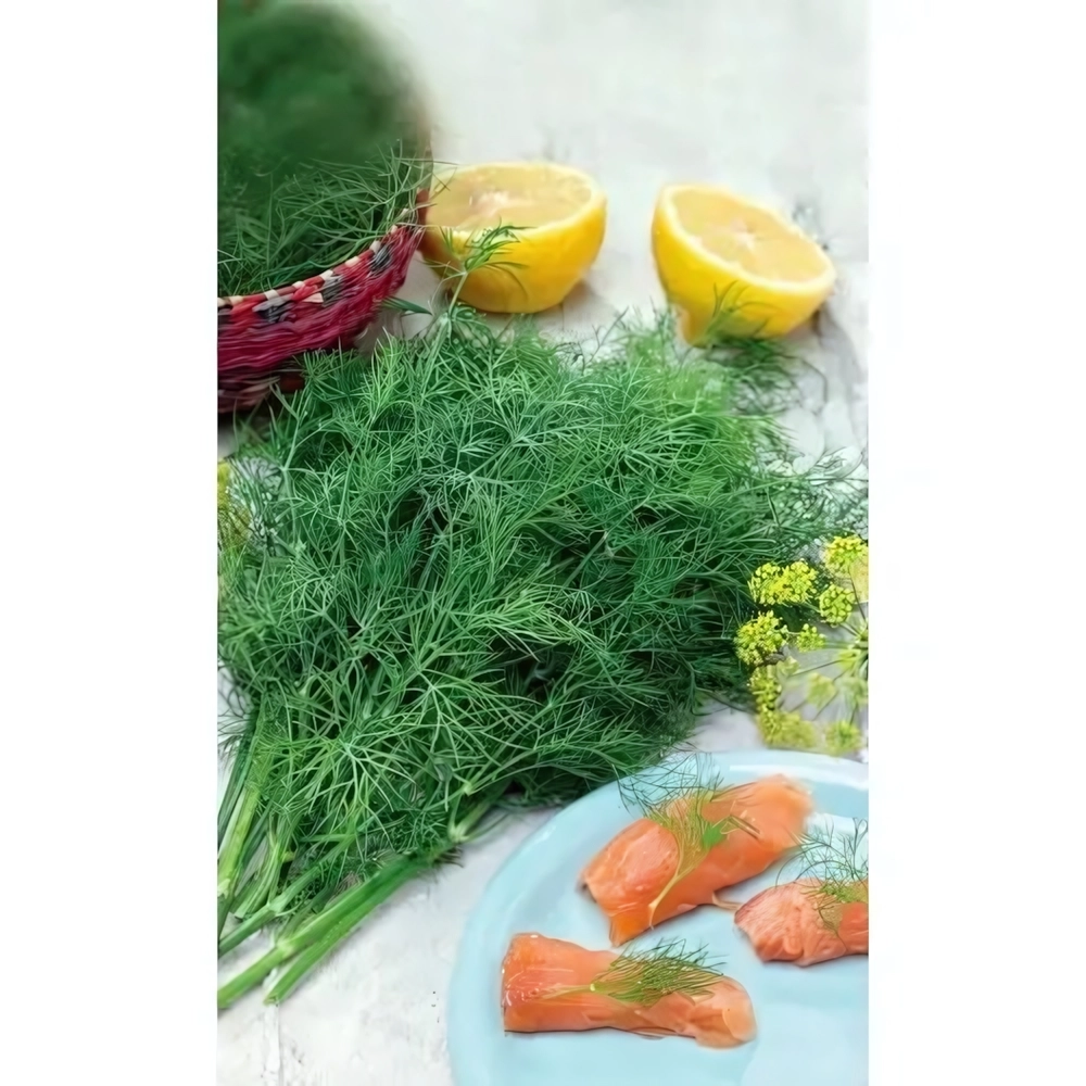 Семена Укроп Сибирский букет (УД) Е/П