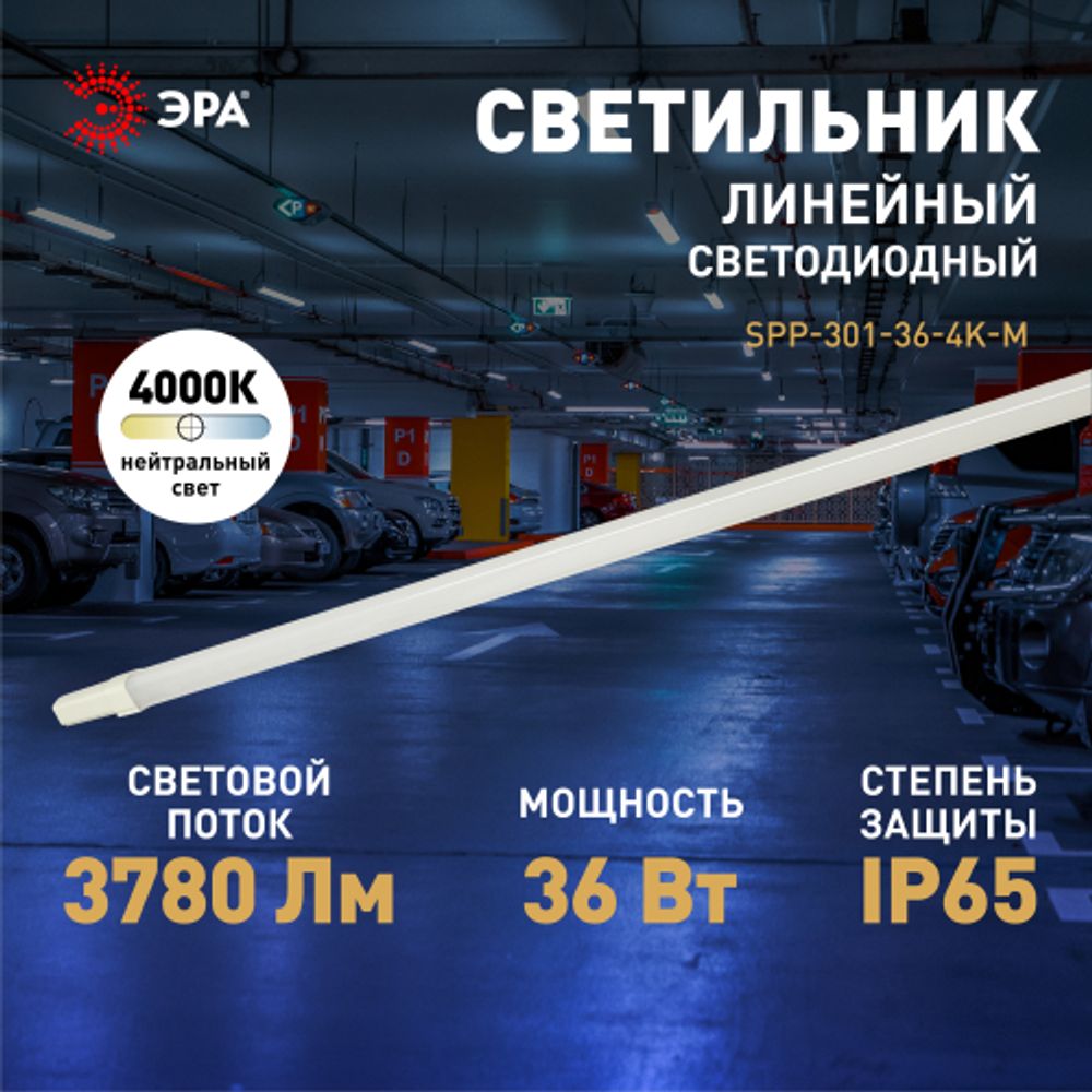 Линейный светодиодный светильник ЭРА SPP-301-36-4K-M 36Вт 4000К IP65 1200 матовый
