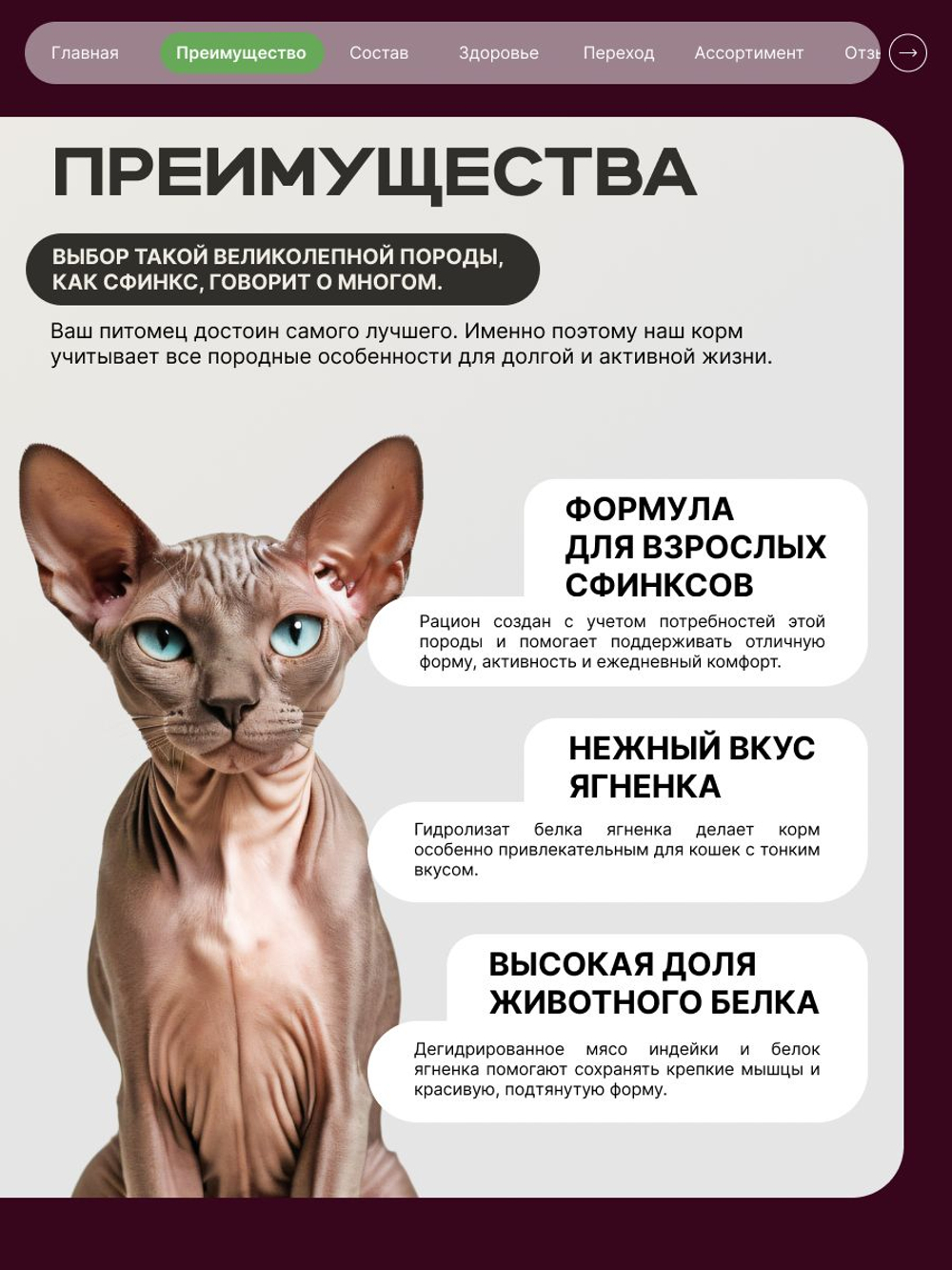 Корм сухой для кошек породы Сфинкс, с ягненком, 2 кг, QUATTRO