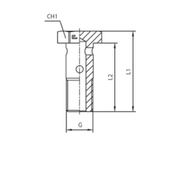 Banjo Bolt BSP