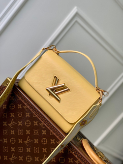 Louis Vuitton Twist MM