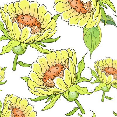 Ромашка и маргаритки, герберы, хризантемы и подсолнухи