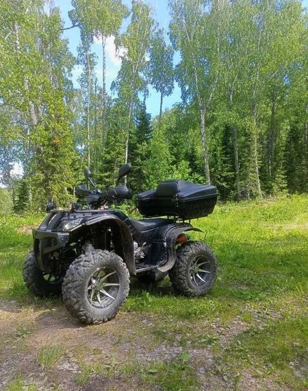 Квадроцикл GRIZZLY 250 Б/У