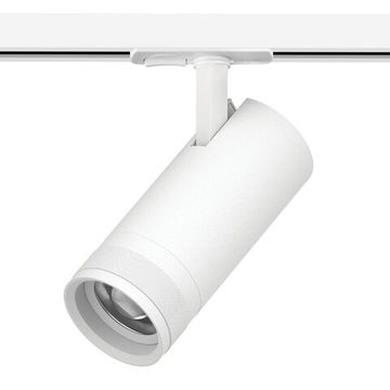 Светильник д/треков BARRA 1400LM 20-55G с тонким адаптером 20W 2700-6000K C4206SS белый Canno Pro Lightstar