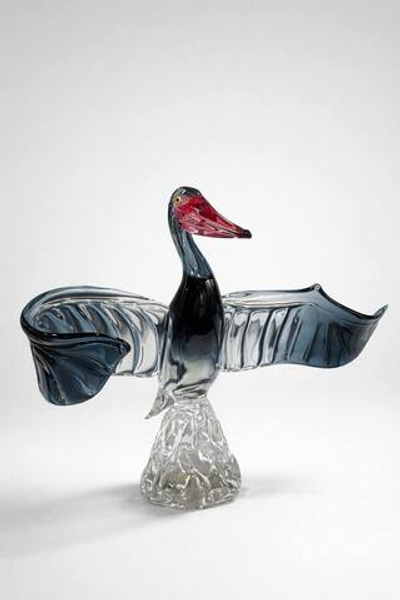 Пеликан с раскрытыми крыльями Нотте-Бореале