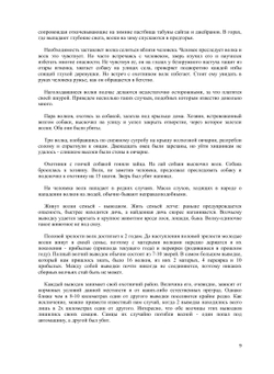 Волк | А. А. Соколов