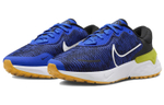 Кроссовки Nike Renew Run 4