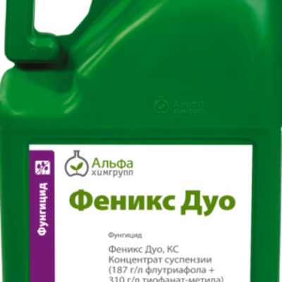 Феникс Дуо,КС