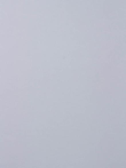 Rasch 1.06 m*25 177602 Wallton