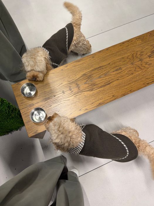 ЖИЛЕТ САВЬЕ ДЛЯ СОБАК ХАКИ