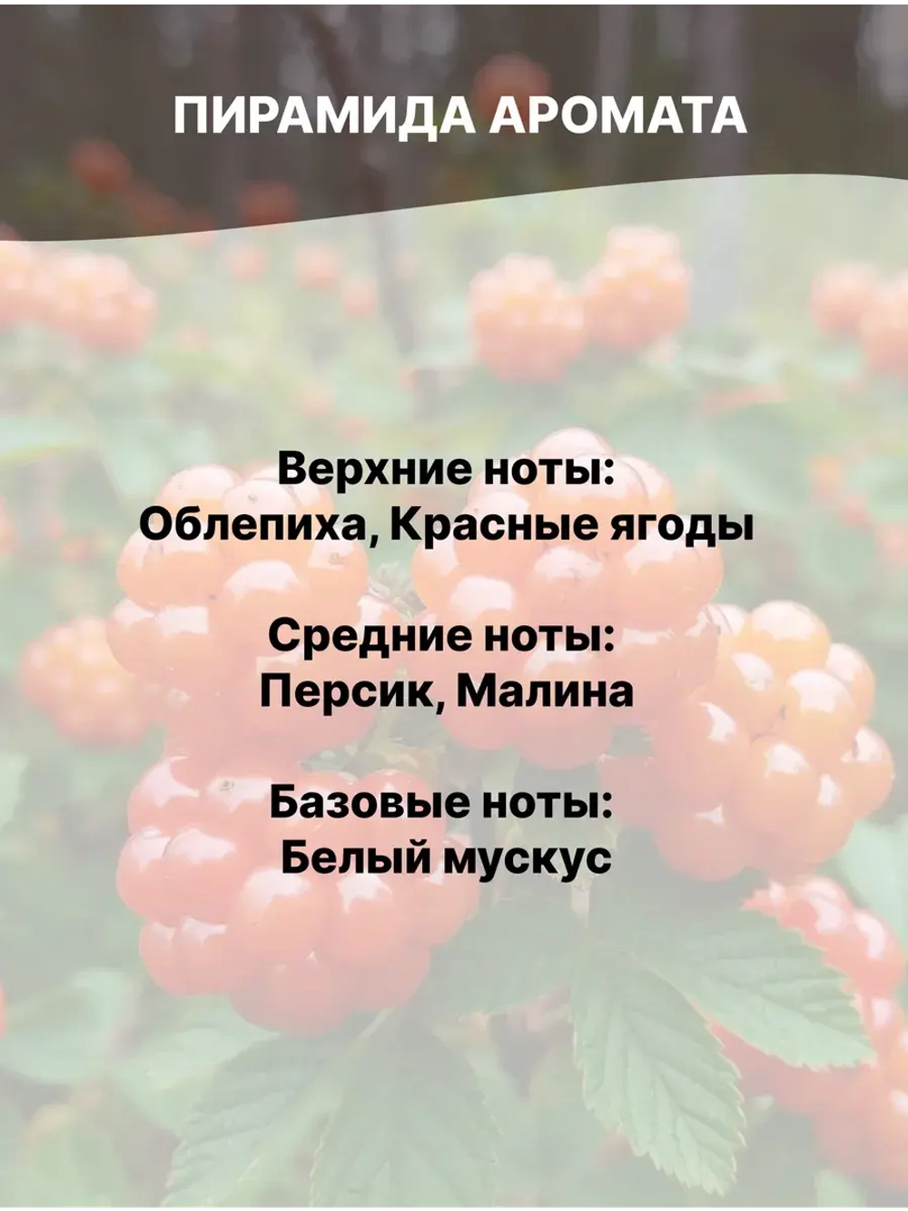 Отдушка Морошка 50 гр