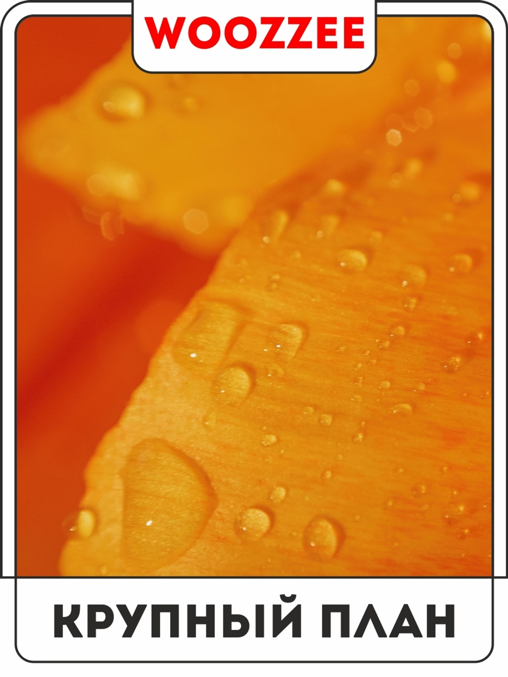 Набор постеров "Оранжевый букет " 3шт.