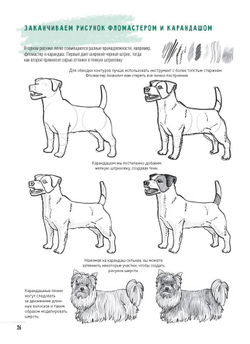 Скетчбук Создаем наброски животных и птиц шаг за шагом: 50 проектов с подробными объяснениями и рисунками