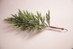 Ель Королевская Премиум 100% литая 260см зеленая Triumph Tree