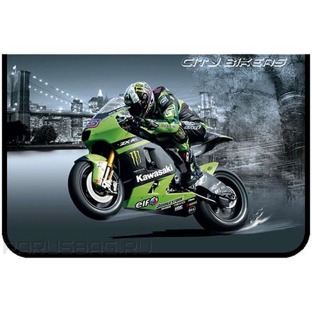 Папка для труда 1 отделение А4 на молнии, ламинат, откидная планка,  Оникс Байкер