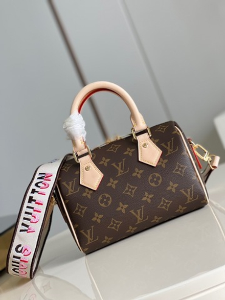 Louis Vuitton Speedy 20